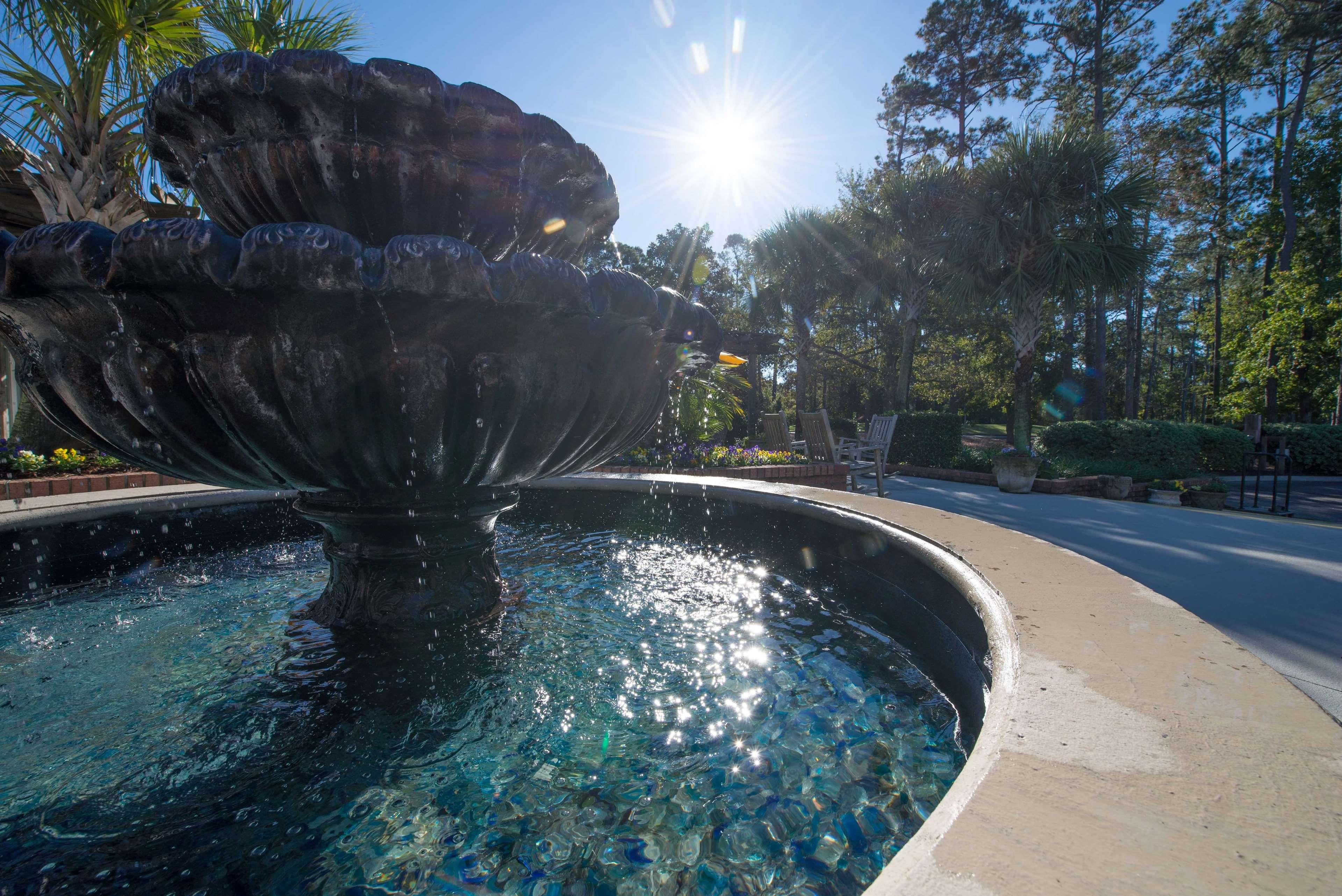 Ellington At Wachasaw Eas Aparthotel Murrells Inlet Bagian luar foto